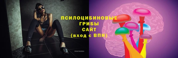 apvp Алзамай
