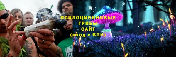 соль курить ск Алексеевка